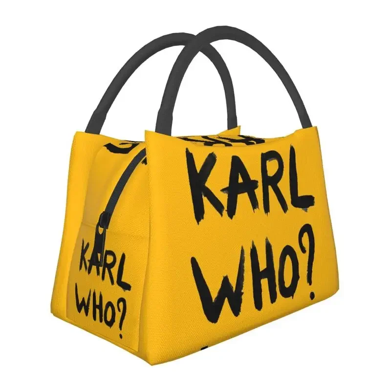 Термоизолированные сумки для о – обзор и цена Women'S Karl Bags