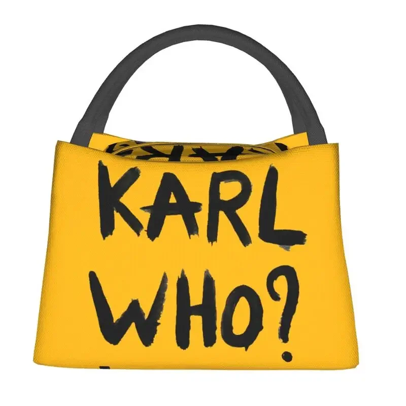 Термоизолированные сумки для о – обзор и цена Women'S Karl Bags