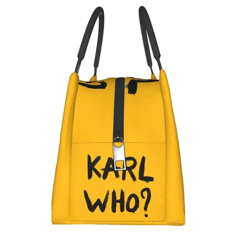 Термоизолированные сумки для о – обзор и цена Women'S Karl Bags